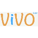 vivo GmbH