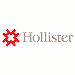 Hollister Incorporated Niederlassung Deutschland