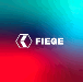 Fiege Customs Services GmbH