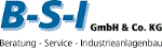 BSI GmbH & Co. KG