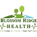 BLOSSOM RIDGE HOME HEALTH AGENCY LLC