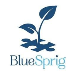 BlueSprig